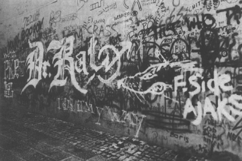 Amsterdam punk graffiti